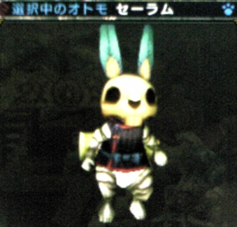 mhp3_otomo04.jpg