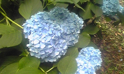 PA0_0001.JPG