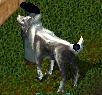 darkwisp0006.jpg