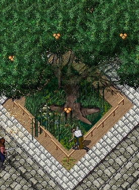 muffin-tree003.jpg