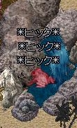 sakuraenkai080004.jpg